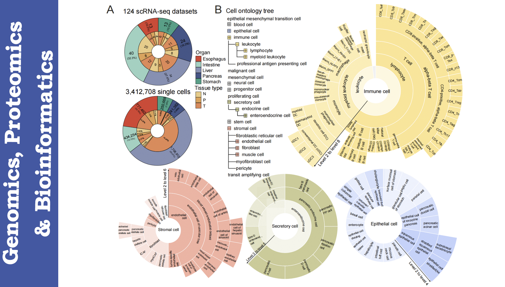 营养与健康所生物医学大数据中心发布消化系统细胞标志物库